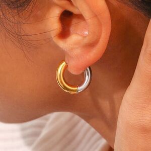 hoop earrings N293